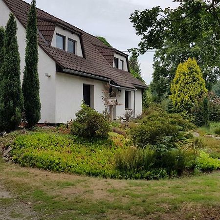 Ferienwohnung "Waldfrieden" Altdobern Екстер'єр фото