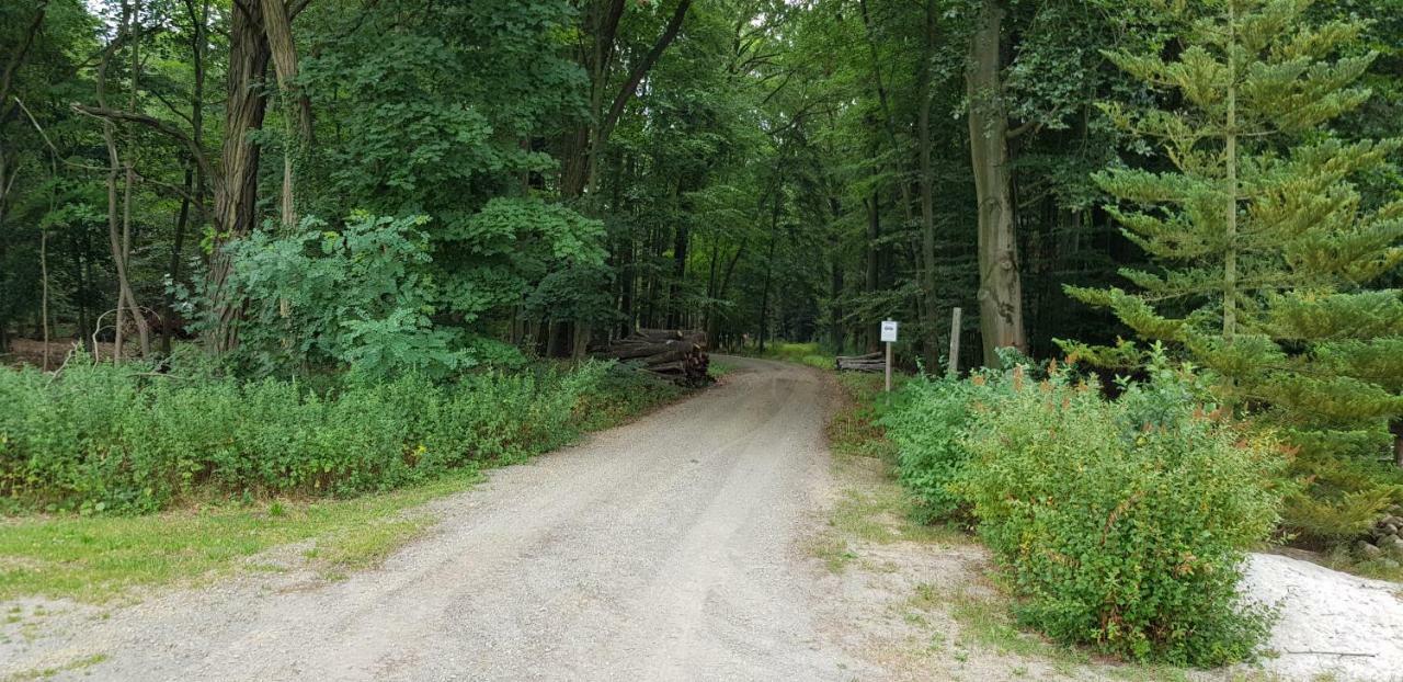 Ferienwohnung "Waldfrieden" Altdobern Екстер'єр фото