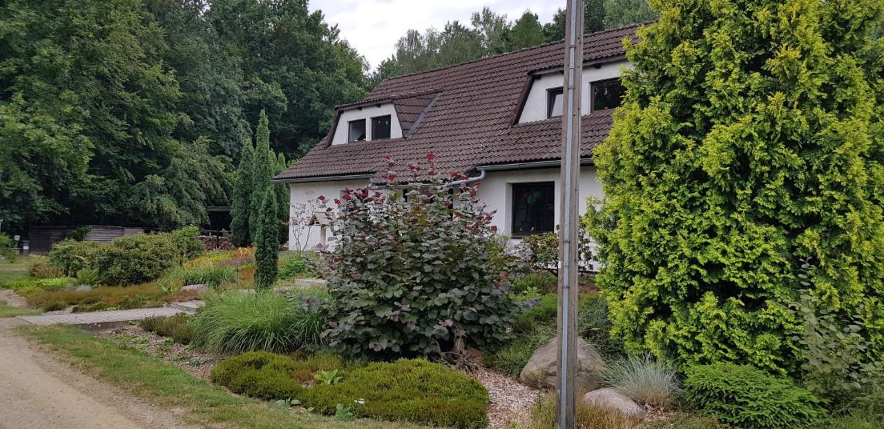 Ferienwohnung "Waldfrieden" Altdobern Екстер'єр фото